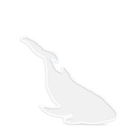 Artline Whale Silicone Mold