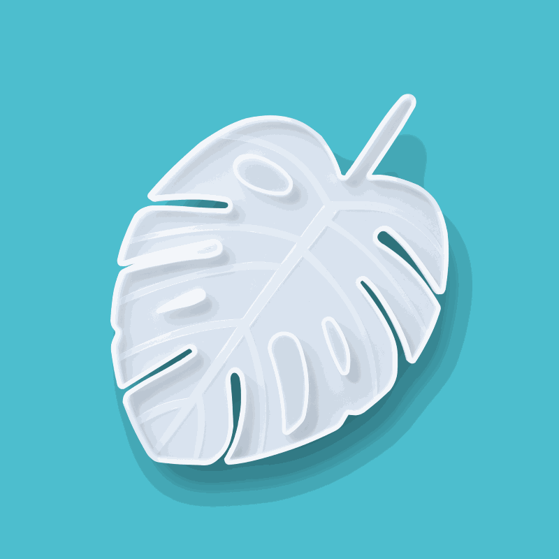 Translucent silicone mold shaped like a tropical palm leaf for resin crafting, measuring 17.5x24.5x1 cm